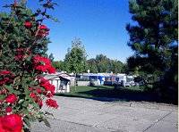 Camping am See Camping am See