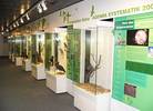 Blick in die Ausstellung
