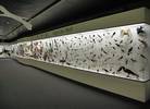 Blick in die Ausstellung Vögel der Welt
