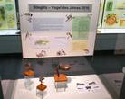 Blick in die Vitrine des Jahres 2016