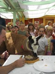 Soeckchen_erster_Geburtstag
