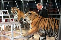 Rüdiger Probst - Der Herr der Tiger
