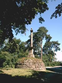 vergrößern