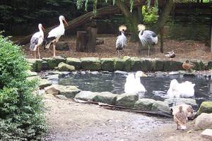 Vogelanlage Vogelanlage