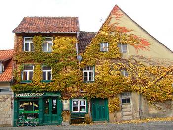 Vergrößern