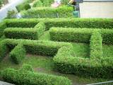 KITA_Bummi_Irrgarten