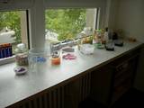 Hort_Spiegel_Experimentiertisch