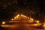 Lindenalle bei Nacht