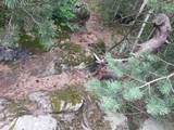 Natur pur