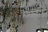 Kunstverein Röderhof | Künstlerin: Verena Hahn - Foto: Caroline Bellmann
