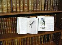 Heineanum Bibliothek