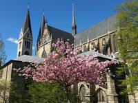 Halberstädter Dom im Frühjahr