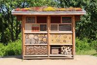 Insektenhaus