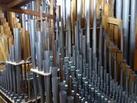 orgeltag_domorgel_innenaufnahme.jpg