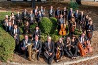 Das Orchester