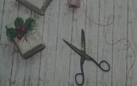 christmas-3026687_640.jpg
