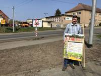 Bienenfreundliche Beetfläche an der Gröperstraße