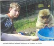 Tiergarten - Affenfütterung zum Geburtstag