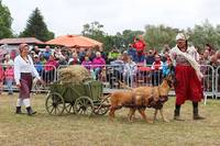 Harzer Landwirtschaftsfest kommt nach Halberstadt