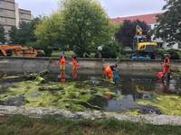 Stala und AWH sind mit großem Gewerk und Maschinen am Springbrunnen Schützenstraße/Ecke Breiter Weg im Einsatz. Dabei werden Unmengen von Müll aus dem Brunnenbecken geholt und das angesammelte Regenwasser abgepumpt.