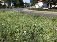 Stadt mit Anerkennung für den Bundespreis Stadtgrün 2020 ausgezeichnet