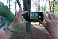 Instawalk