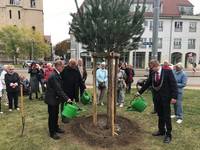 Drei Bäume für Deutschlands Einheit und Denkmal für die Leistungen der Bürger Halberstadts