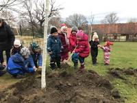 Kinder pflanzen einen Baum