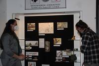 museum_dauerausstellung_pi.jpg