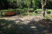 friedhof_naturnahe_grabstätte_1.jpg
