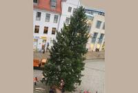 Weihnachtsbaum wird aufgestellt