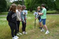 Diego und Jonas schlagen hier auf der Wiese in der Grünanlage Plantage den ersten Hummel-Pin in den Boden, beobachtet von Romy, Nicola und Mia (von links).
