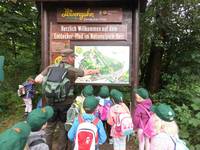 waldfuchs.jpg