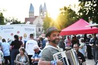 sommerhöfe_halberstadt_2021_©_stadtmarketing_pressestelle.jpg