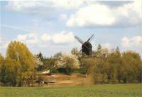Badersleben