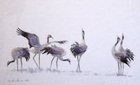Der Flug der großen Vögel - Wiederholung der Abendveranstaltung