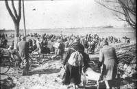 Flüchtlinge nach der Bombardierung auf Halberstadt am 8. April 1945