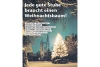Ein Weihnachtsbaum für den Domplatz  Eine Aktion von Halberstädtern für Halberstädter