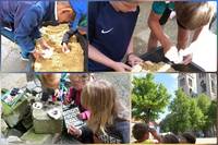 Ein buntes Programm für die Sommerferien erwartet die Kinder im Heineanum