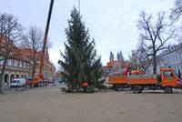 Weihnachtsbaum auf dem Domplatz steht