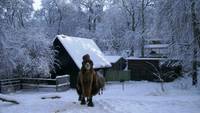 Aufführung der Weihnachtsgeschichte am 3. Advent im Halberstädter Tiergarten