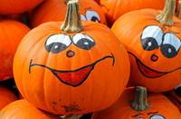 Halloween-Deko in der Stadtbibliothek