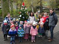 Weihnachtsbaumschmücken im Tiergarten
