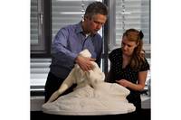 Amor und Psyche.  Die Restaurierung einer Marmorfigur aus dem Museum