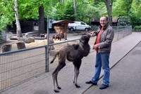 Große Freude im Tiergarten