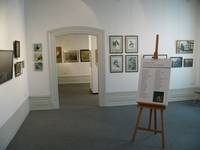 Ausstellung 'Moderne Vogelbilder' - 20 Jahre MoVo