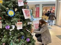 Halberstädter Wunschweihnachtsbaum wird eröffnet