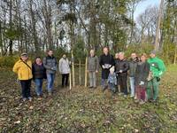 Pflanzaktion - Neue Baumspende für den Schlosspark Langenstein