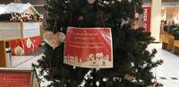 Alle Herzenswünsche vom Halberstädter Wunschweihnachtsbaum gepflückt