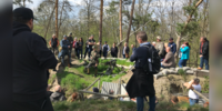 Frühlingserwachen und Geschichte erleben